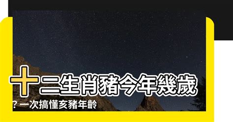 數豬|屬豬今年幾歲｜屬豬民國年次、豬年西元年